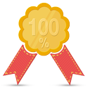 ОФИЦИАЛЬНАЯ ГАРАНТИЯ НА ВСЕ РАБОТЫ